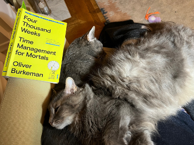cats napping next to book: Four Thousand Weeks - Time Management for Mortals