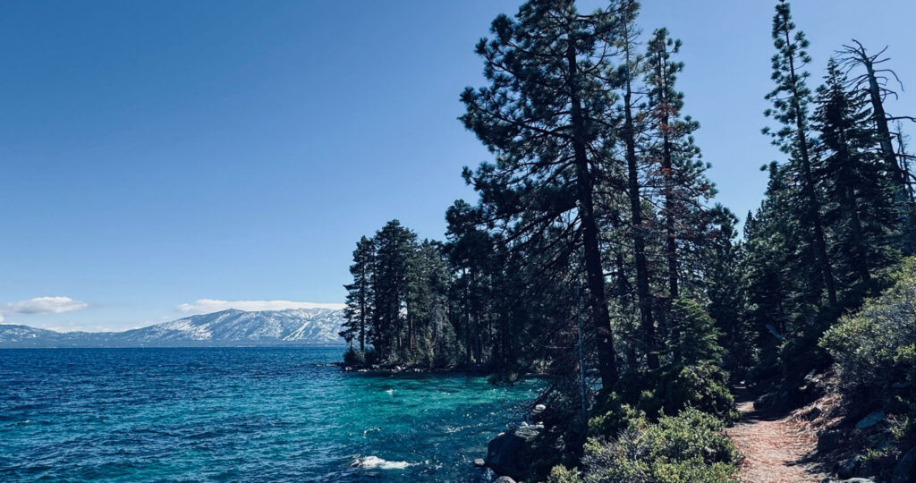 a photo of trees on a shore, with mountains in the distance