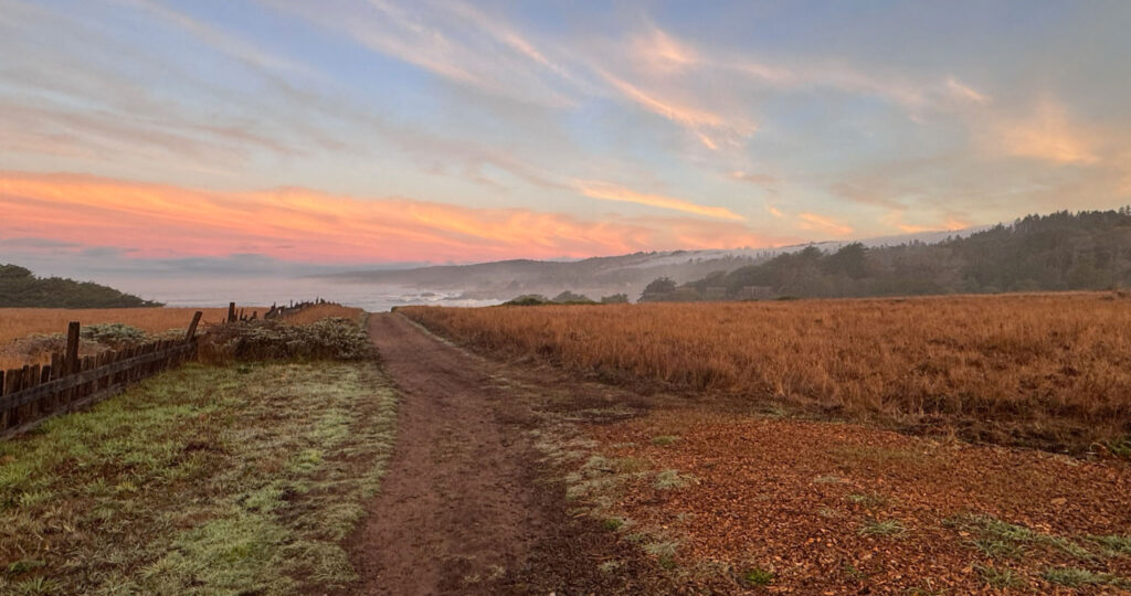 a photo of rolling hills with the ocean in the distance